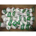 Best Quality Normal White Garlic